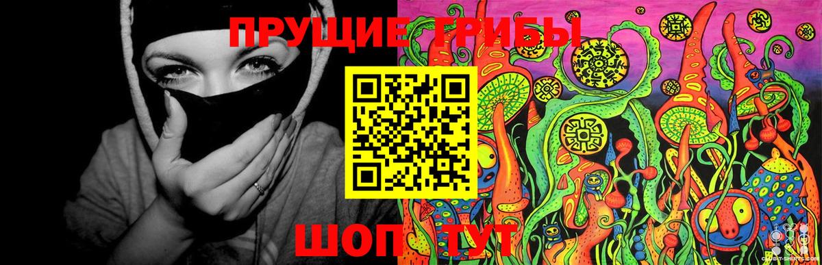 Галлюциногенные грибы прущие грибы Ставрополь