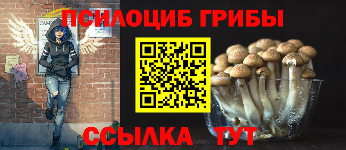 Псилоцибиновые грибы прущие грибы  Вход с VPN  Ставрополь  Галлюциногенные грибы Magic Shrooms 